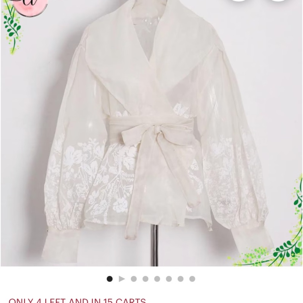 Lovely, feminine sheer blouse. This is a very, very pale peach. Elegant!